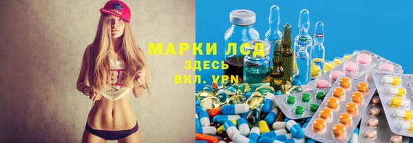 PSILOCYBIN Ельня