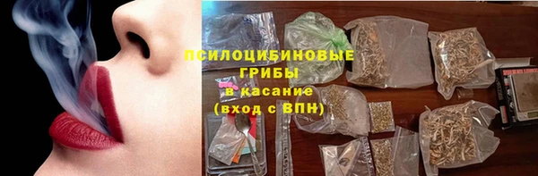 МДПВ Заводоуковск