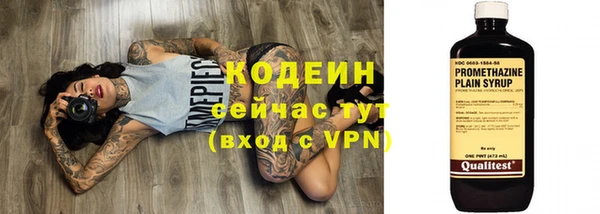 шишки Заволжск