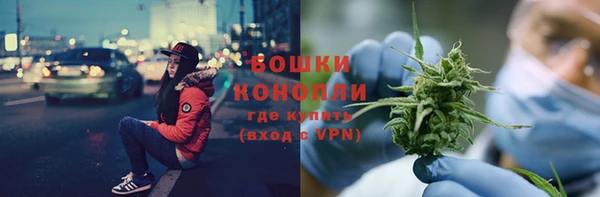 шишки Заволжск