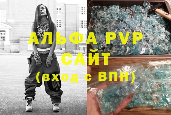 PSILOCYBIN Ельня