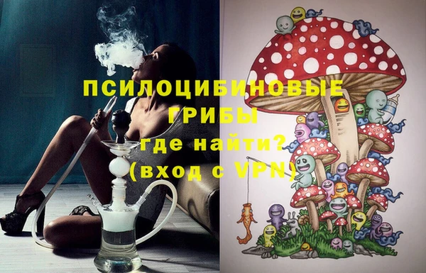 шишки Заволжск