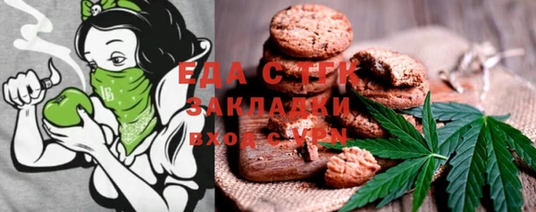 PSILOCYBIN Ельня
