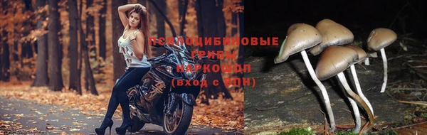 МДПВ Заводоуковск
